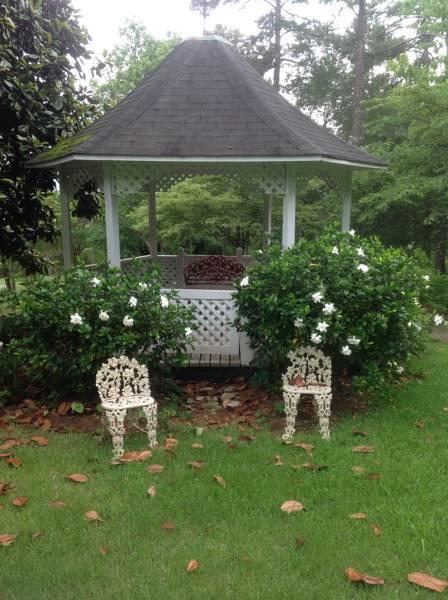 Springwood Inn Anniston Bagian luar foto